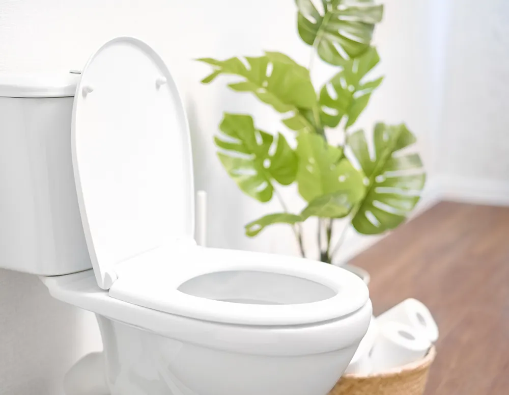 toilet in New Egypt home