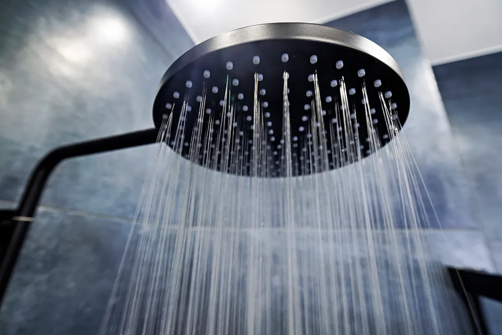 Close up of shower head in New Egypt bathroom