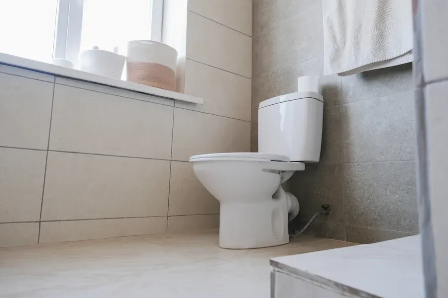 Modern toilet in New Egypt NJ home